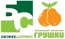 Бизнес-Сервис